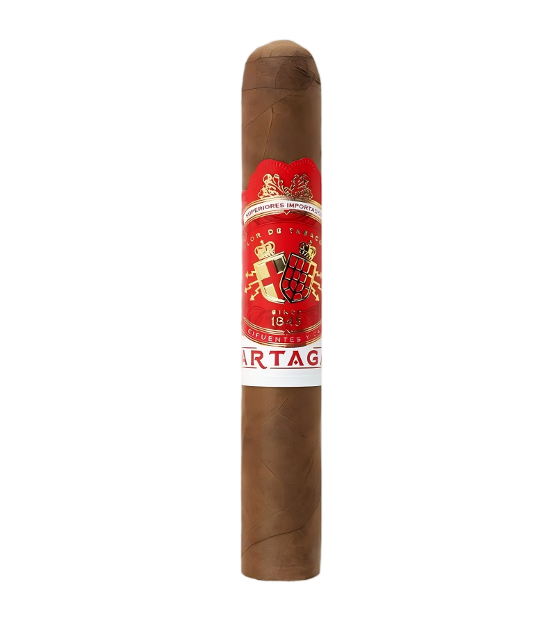 Partagas Cortado Robusto