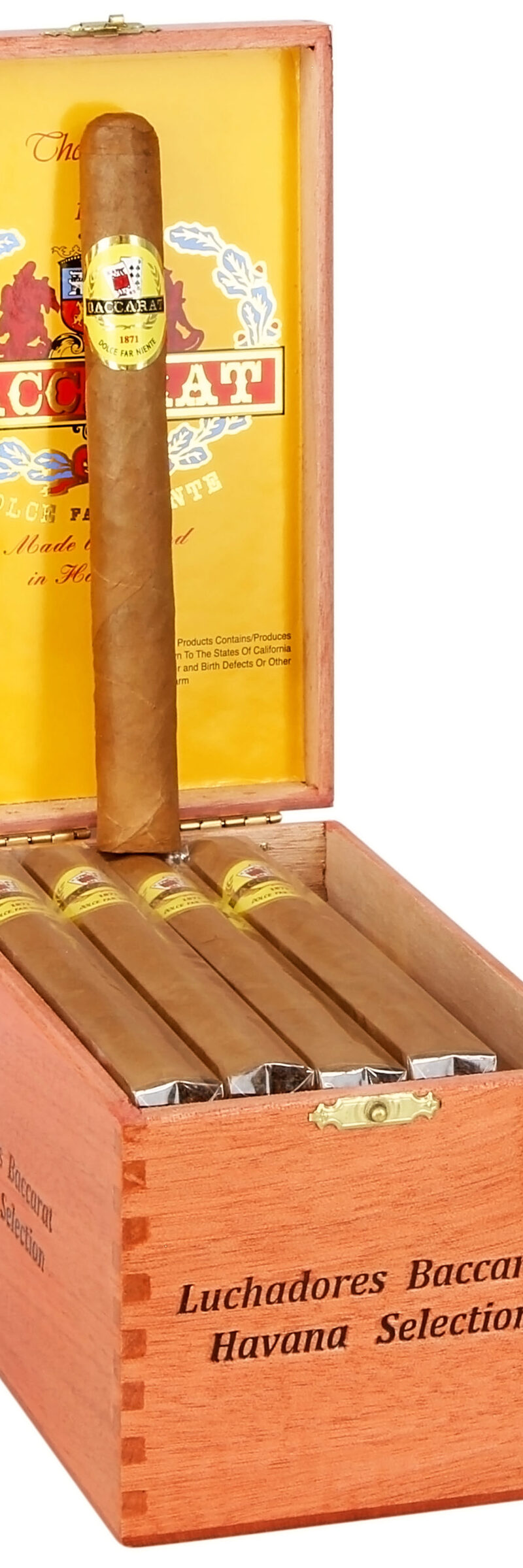 Baccarat Havana Sel Luchadores