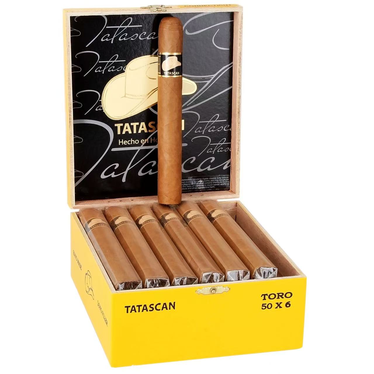Home 13 Tatascan Connecticut Toro 20