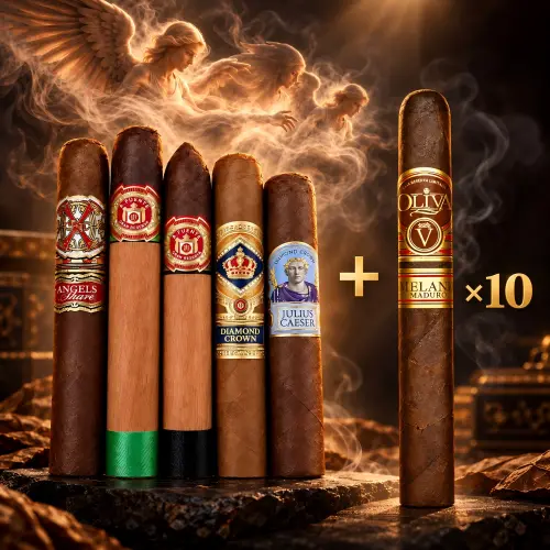Home 6 Fuente’s Angle x Oliva Bundle